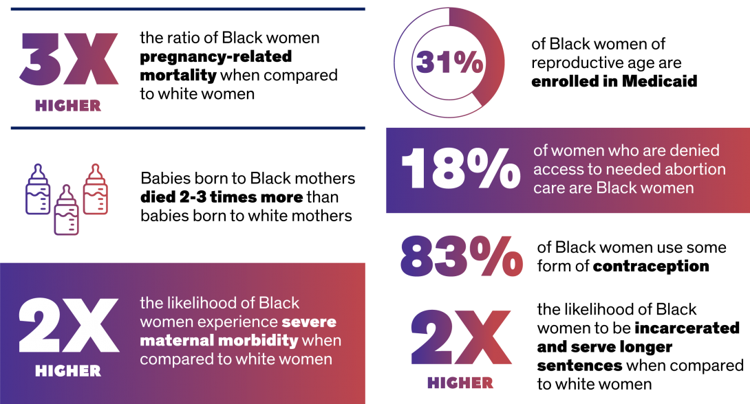 In Our Own Voice – National Black Women's Reproductive Justice Agenda