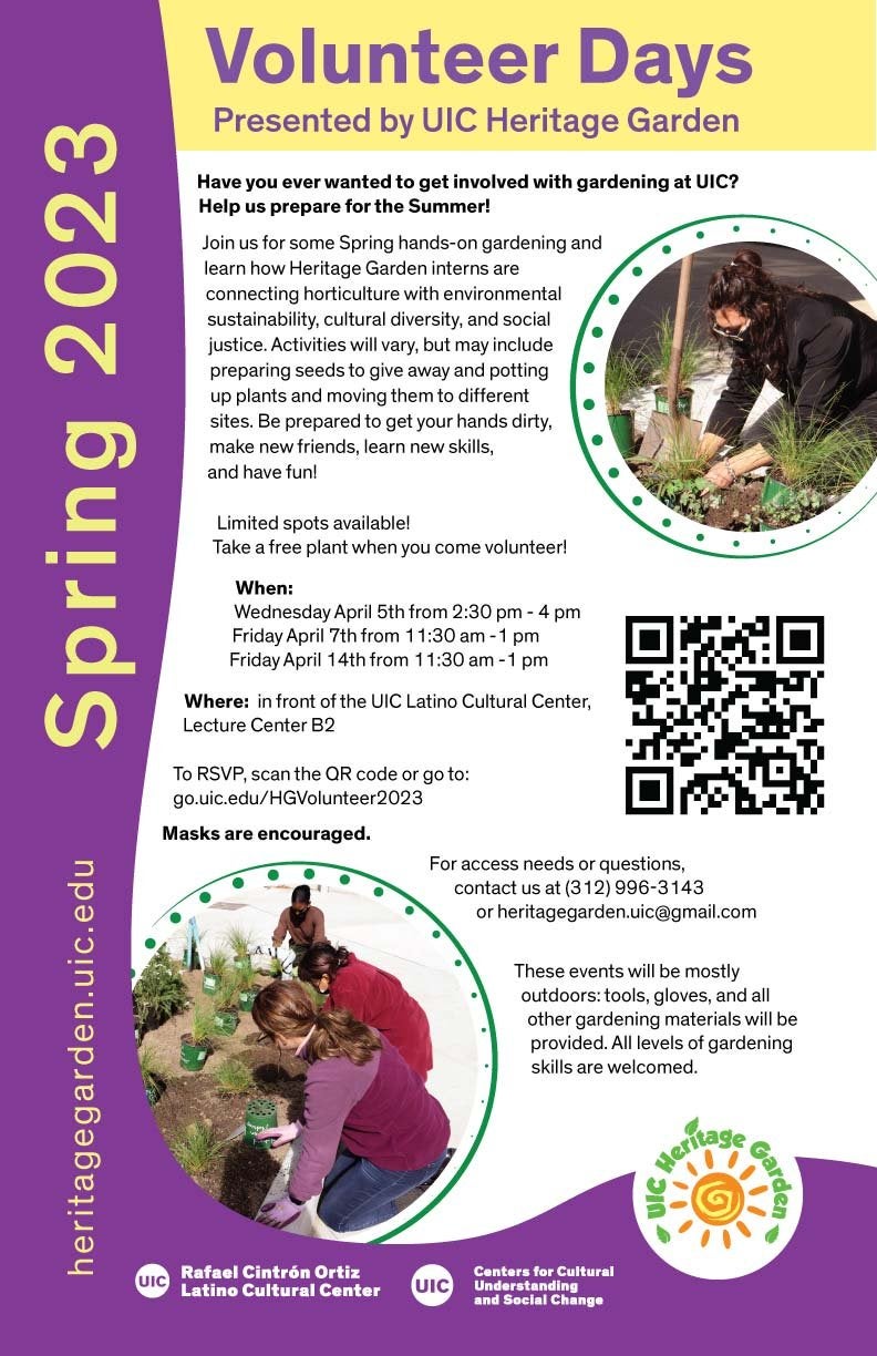 Yellow header with the title of the event in green letters. Text of the poster is in a white background. A circular image of a student wearing a face mask, kneeling on a raised bed and transplanting a plant is on the top right corner. In the middle right is a QR code to RSVP to the event. In the lower left corner is a circular image of three more students kneeling by the raised bed transplanting some of the native grasses. Three rows of plants can be seen along the garden still in their pots. The side and bottom is a dark purple frame with “heritage garden.uic.edu” and “Spring 2023” written vertically in yellow letters.The logos of the Centers for Cultural Understanding and Social Change, the UIC Latino Cultural Center and the UIC Heritage Garden are at the bottom.